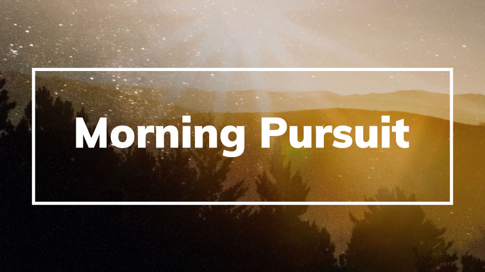Morning Pursuit